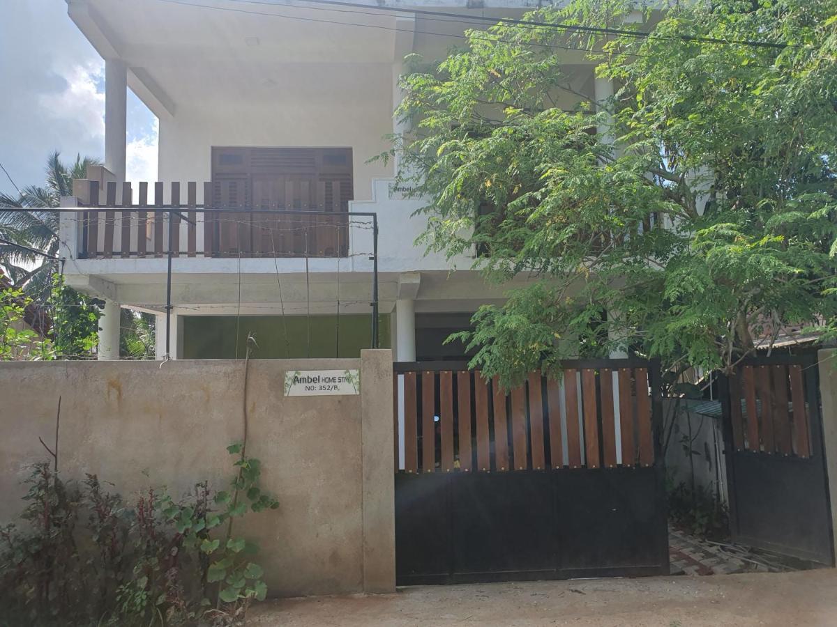 Ambel Homestay アヌラーダプラ エクステリア 写真